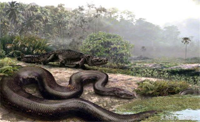 世界上最无畏惧的动物人称平头哥,世界十大凶猛动物平头哥