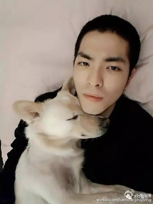 萧敬腾领养狗狗,萧敬腾领养孩子