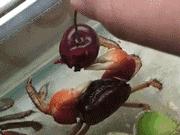 彩妆护肤品种草,彩妆品牌种草