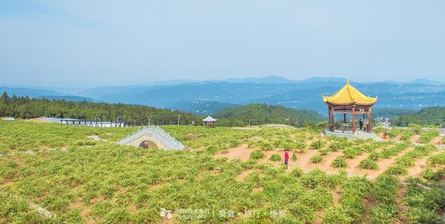 云在青天水在瓶深度讲解,云在青天水在瓶全文