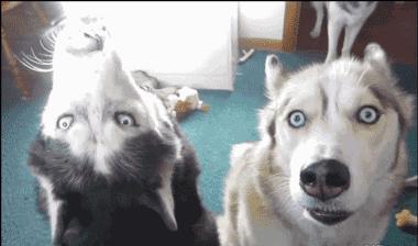 咽口水强迫症,总是想咽口水强迫症