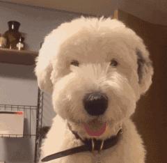 咽口水强迫症,总是想咽口水强迫症