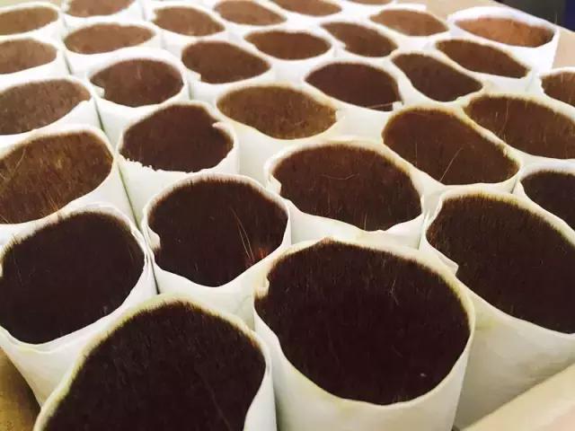 零基础用什么样的画笔,画笔入门基本知识