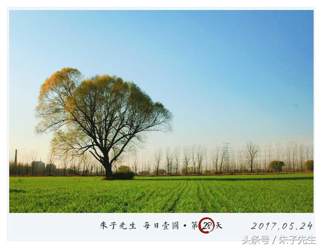 每日壹图｜你小时候流血了怎么办？