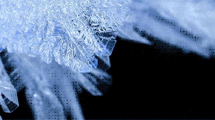 为了复活50年前的“冷冻人”，这个维修工背负了半世纪的骂名