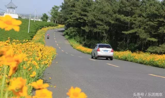 南京是一座很美的城市,南京最让人震撼的城市