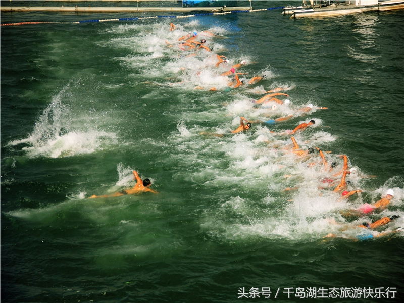 千岛湖人真有福！免费享受573km²的天然绿色游泳场（原创）