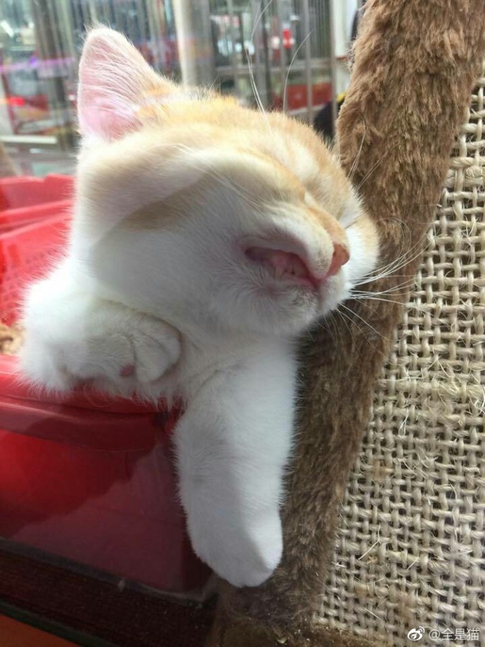 咽口水强迫症,总是想咽口水强迫症