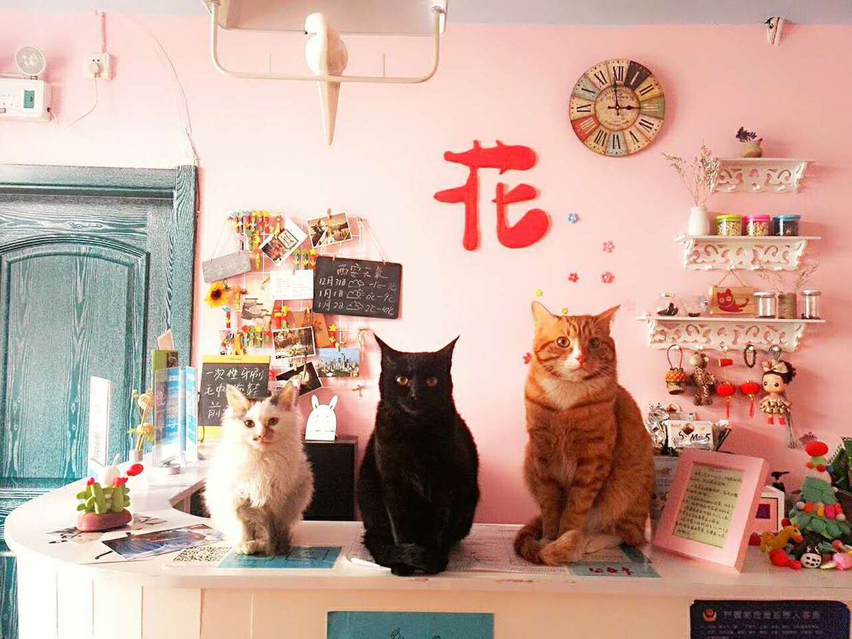 哪些青年旅舍是正规的,推荐10家超棒的青年旅舍