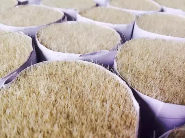 零基础用什么样的画笔,画笔入门基本知识