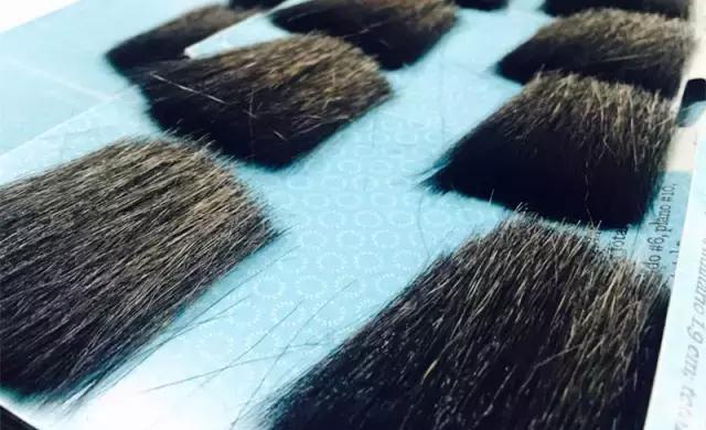 零基础用什么样的画笔,画笔入门基本知识