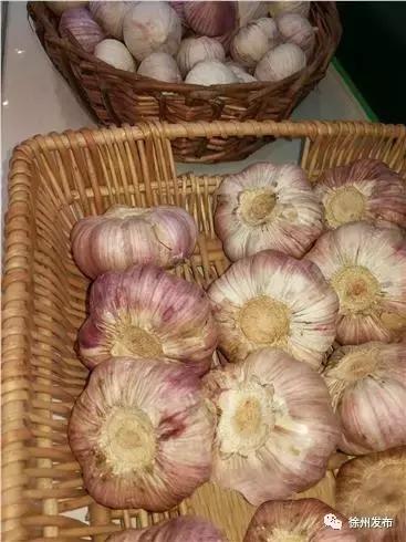 邳州的大蒜为什么好,邳州大蒜世界之最