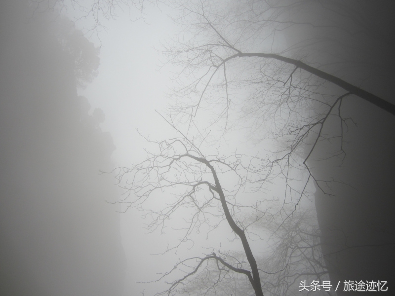 新乡南太行八里沟景区,新乡八里沟一日游攻略