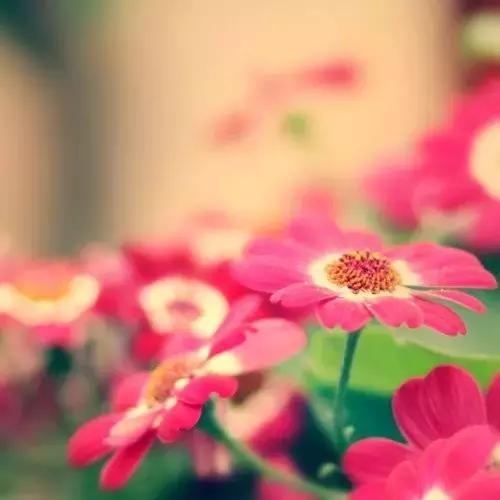 用了很久都不舍得换的个性签名,让人觉得温柔又惹不起的个性签名