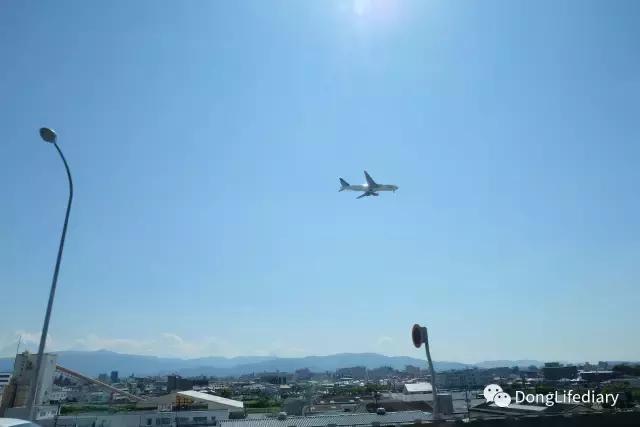 去日本北九州好吗,北九州看樱花