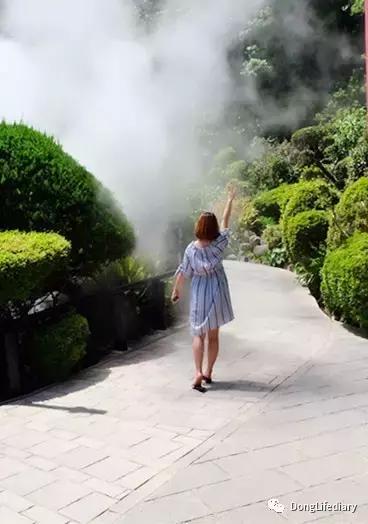 去日本北九州好吗,北九州看樱花