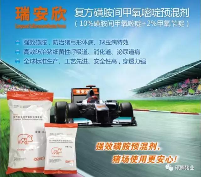 “瑞多康”+“瑞安欣”双剑合一：猪场扫除衣原体和弓形体的法宝