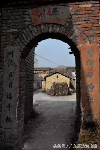 广东普罗旺斯花海,普罗旺斯的薰衣草紫色花海