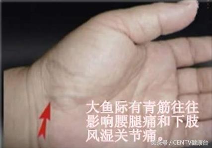 健身一段时间手背青筋明显了,健身乳房上边青筋明显是怎么回事