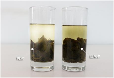 沁园净水器是你值得信赖的品牌,沁园净水机真的能过滤出矿物质水