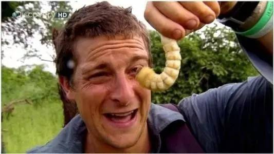 去野外采蘑菇意外发现巨毒蘑菇,采蘑菇发现毒蘑菇