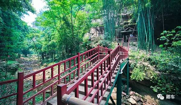 36元起！端午和陈柏霖、林依晨探索高山林海秘境，竹海漫步！