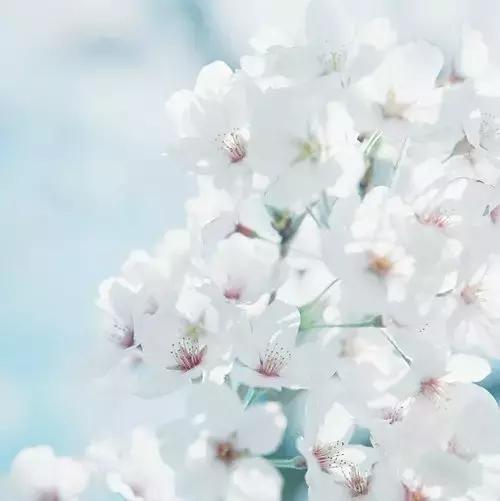 用了很久都不舍得换的个性签名,让人觉得温柔又惹不起的个性签名