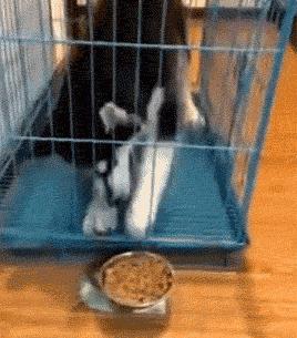 咽口水强迫症,总是想咽口水强迫症