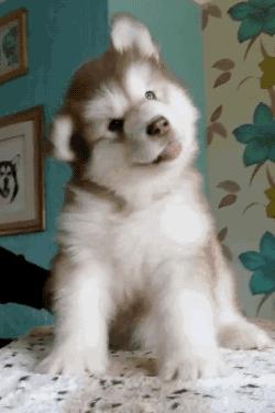 咽口水强迫症,总是想咽口水强迫症