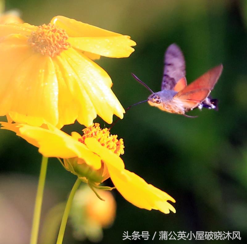 孩子说妈妈什么时候才能去上学,孩子说我要去上学时怎么回答