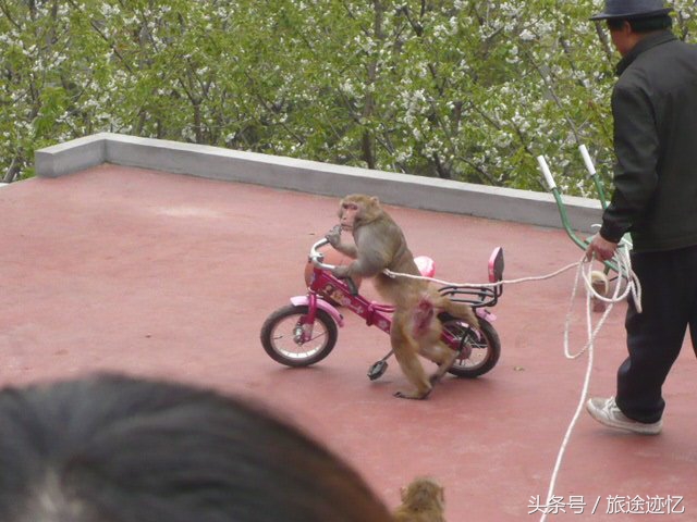 新乡南太行八里沟景区,新乡八里沟一日游攻略