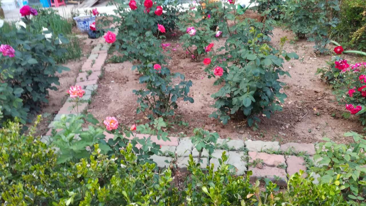 大连居民小区物业业主自管,大连某小区