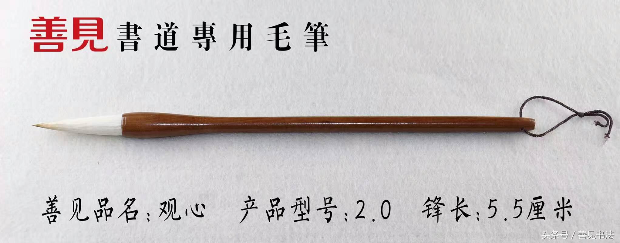 毛笔的种类及特点,毛笔一共有多少种书体