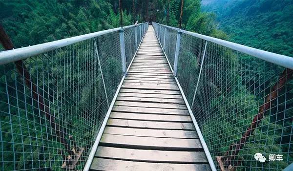 36元起！端午和陈柏霖、林依晨探索高山林海秘境，竹海漫步！