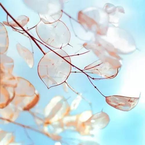 用了很久都不舍得换的个性签名,让人觉得温柔又惹不起的个性签名