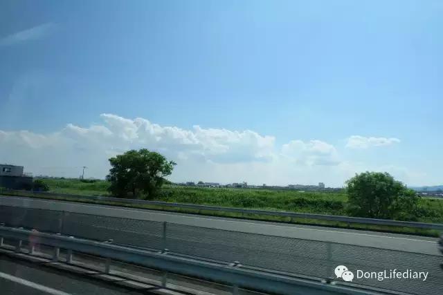 去日本北九州好吗,北九州看樱花