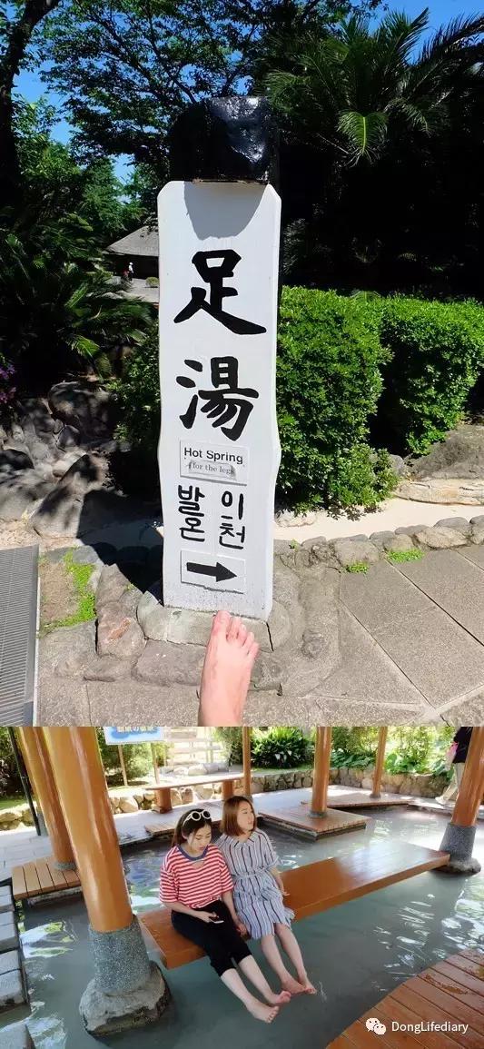 去日本北九州好吗,北九州看樱花