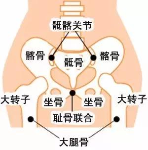 原来身体里面有个“盆儿”他到底有多重要呢？