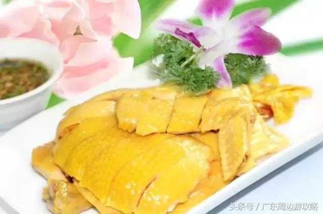 广东普罗旺斯花海,普罗旺斯的薰衣草紫色花海