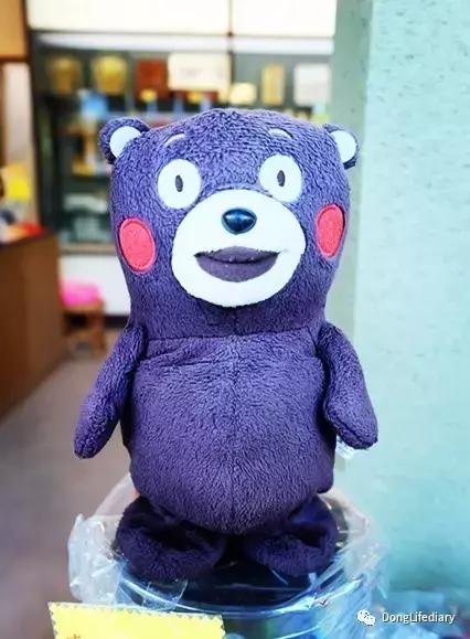 去日本北九州好吗,北九州看樱花