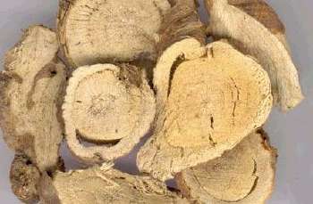 灰指甲封包治疗真的管用吗,甲卫士治疗灰指甲管用吗