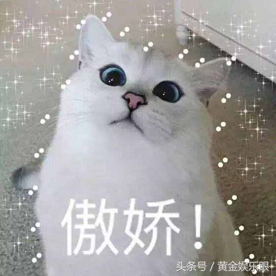 十二岁出道成名,17岁出道22岁一剧走红