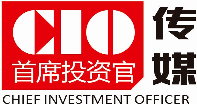 首席投资官是什么啊,首席投资官电视剧