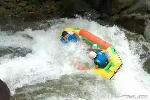 广东普罗旺斯花海,普罗旺斯的薰衣草紫色花海