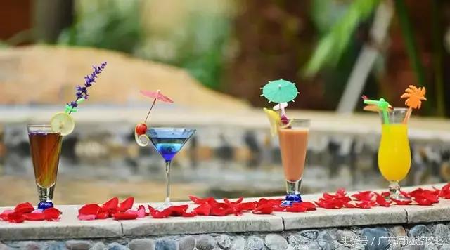 广东普罗旺斯花海,普罗旺斯的薰衣草紫色花海