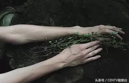 健身一段时间手背青筋明显了,健身乳房上边青筋明显是怎么回事