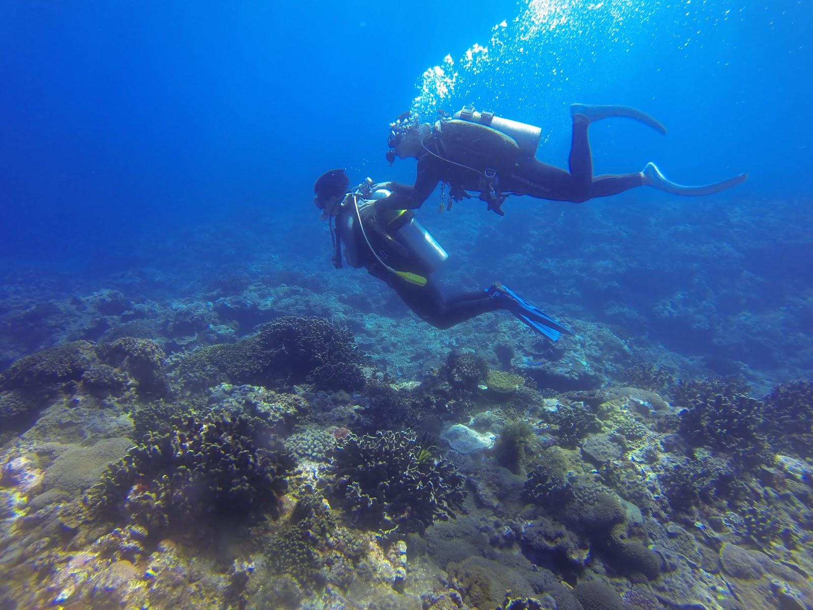 菲律宾靠近马尼拉好玩的地方,菲律宾离中国最近的岛