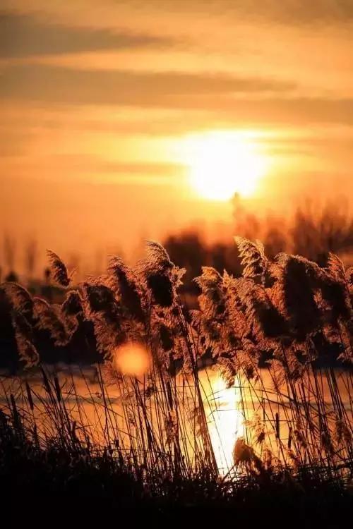 还有什么软件可以拍照修图的,有什么软件可以修图还可以p图