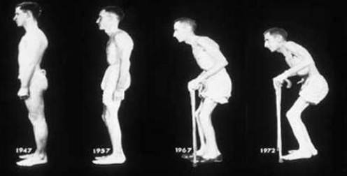 周杰伦蔡少芬张嘉译,周杰伦张嘉译蔡少芬