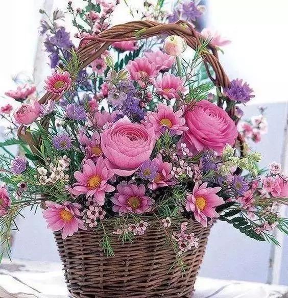 我想学插花有教程吗,学插花怎么学